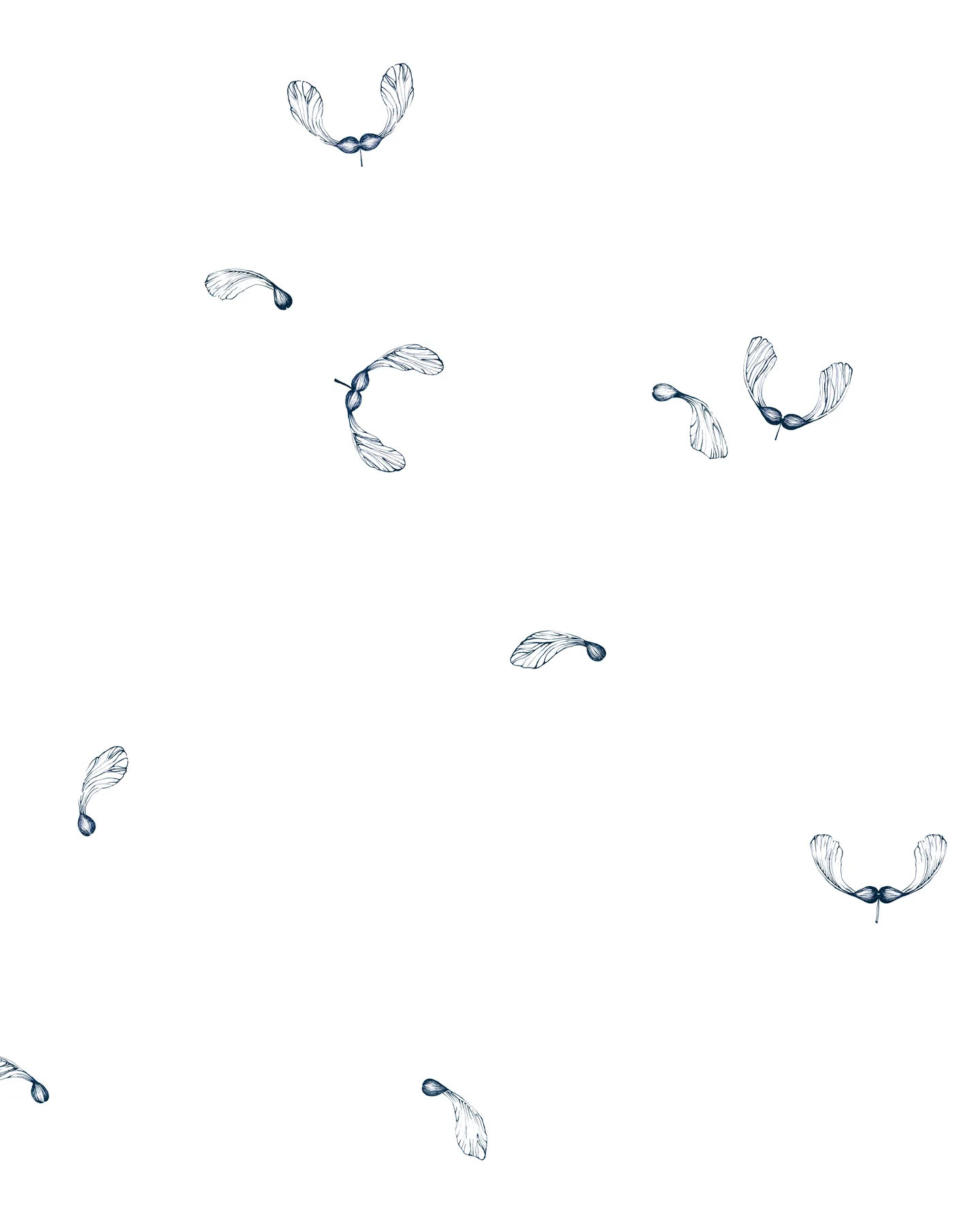 Ahorn