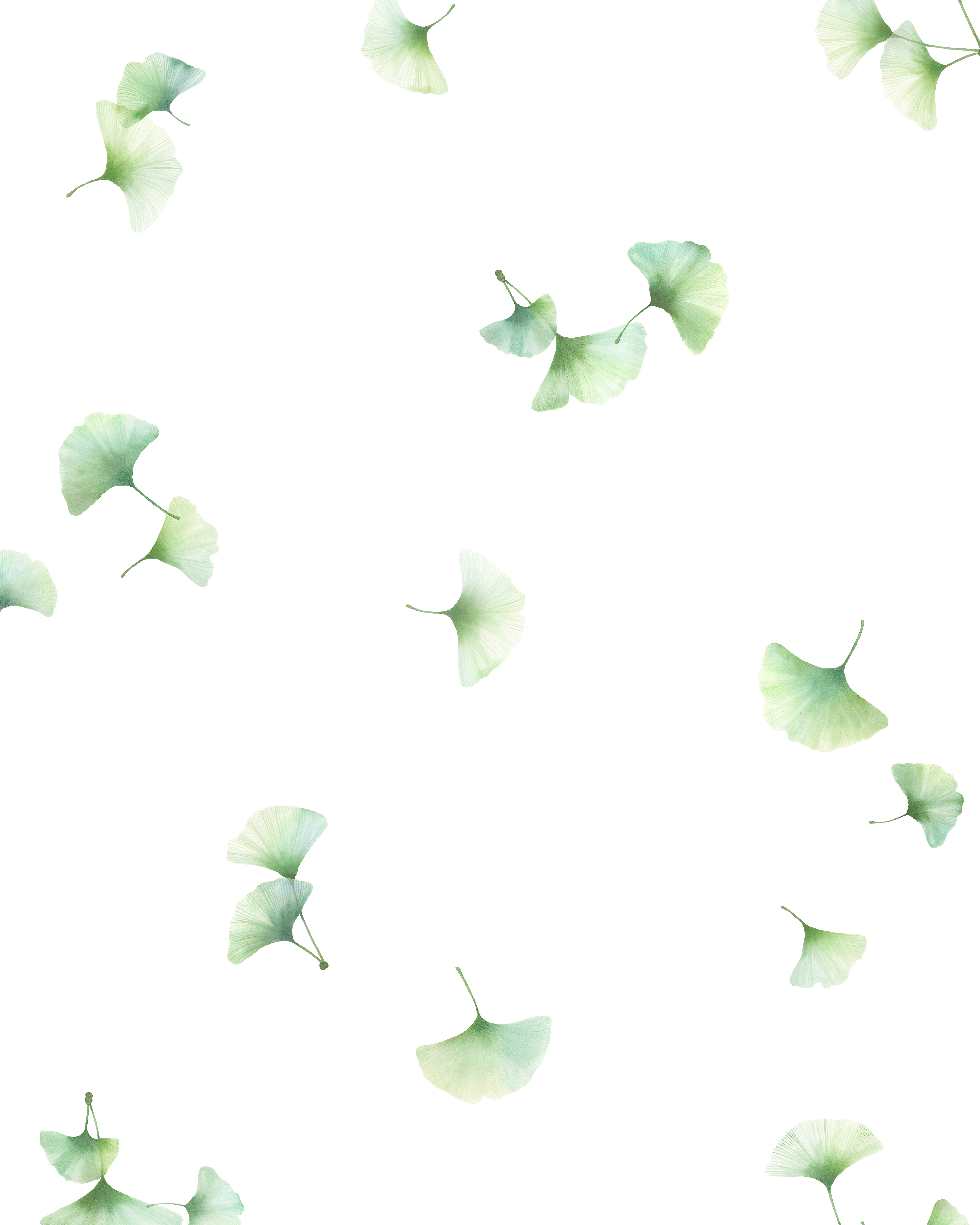 Aiko – Rapport